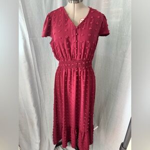 Elegant Burgundy Textured Dress